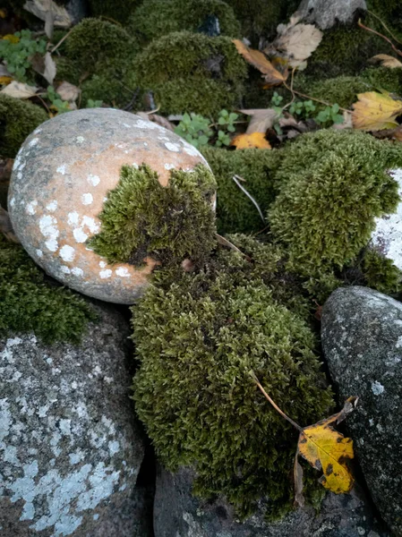 Folhas Outono Musgo Uma Cerca Pedra Cores Saturadas — Fotografia de Stock