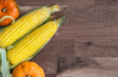 Kırsal ahşap masada sonbahar sukabakları olan Şükran Günü arkaplanı. Sonbahar hasadı. Küçük balkabakları ve tatlı mısırlar ahşap arka planda yatıyor. Üst Manzara. Düz düzenleme çerçevesi, boşluğu kopyala