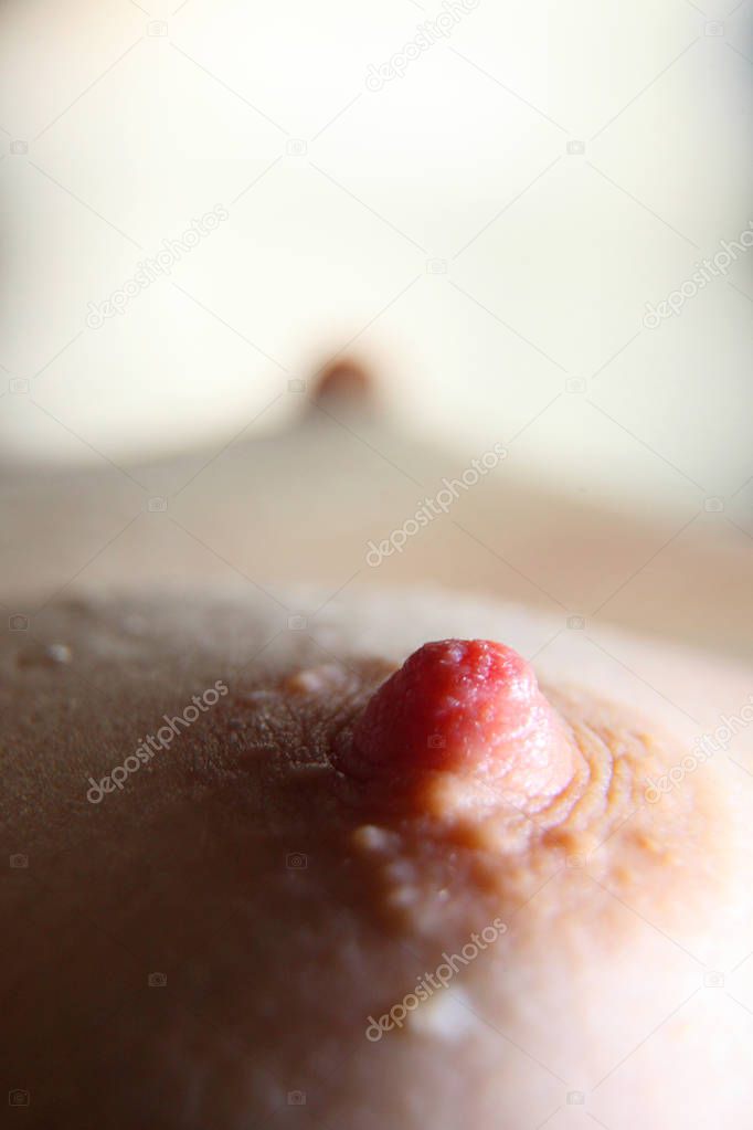 Female nipple. Close-up of a woman's breasts. 