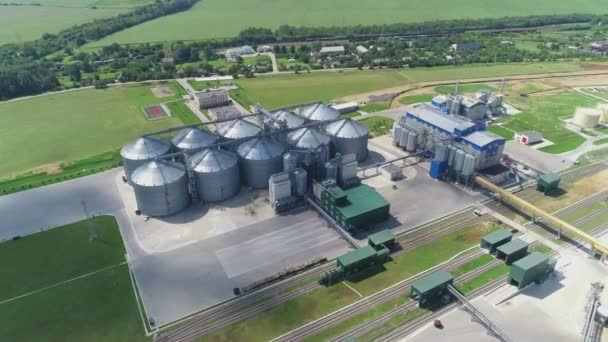 Fábrica Para Producción Forrajes Mixtos Planta Piensos Compuestos Feed Mill — Vídeos de Stock