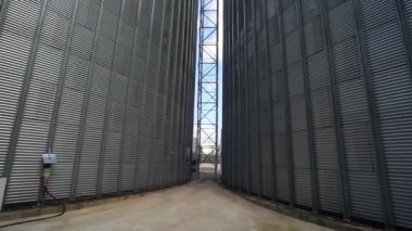 Fabrika karma yemleri imalatı için. Bileşik bitki besleme. Yem fabrikası. 