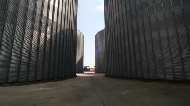 Usine Pour Production Fourrages Mélangés Plante Fourragère Composée Moulin Aliments — Video