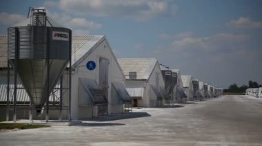 Ladyzhin, Ukrayna, 2 Ağustos 2018: Modern büyük tavuk çiftliği. Tavuk eti üretimi. Coopers. Tavuk yetiştiriciliği. 