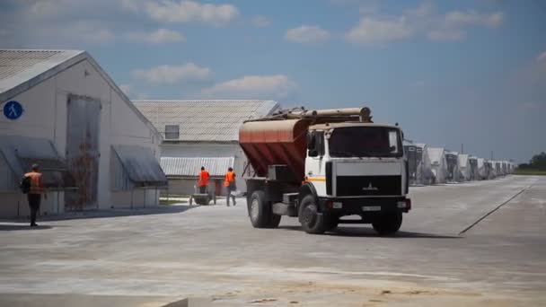 Ladyzhin Ukrajina Srpna 2018 Moderní Velké Drůbeže Farmě Výroba Kuřecího — Stock video