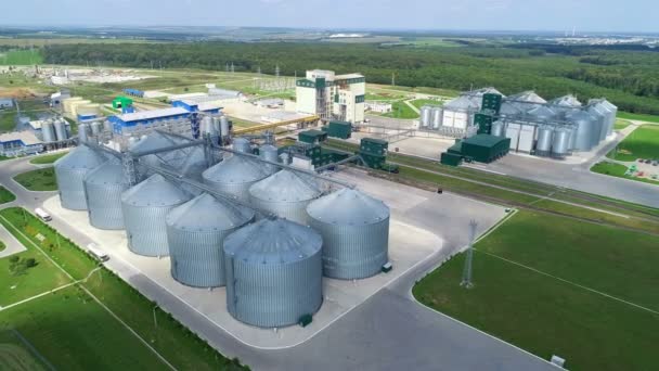 Fábrica Para Producción Forrajes Mixtos Planta Piensos Compuestos Feed Mill — Vídeo de stock