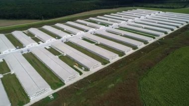 Modern büyük tavuk çiftliği. Tavuk eti üretimi. Coopers. Tavuk tarımı. Bir dron çekim