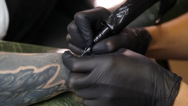 Salon Tattoo Tattoo Umělec Pracuje Tattoo Umělec Udělat Tetování Studiu — Stock video