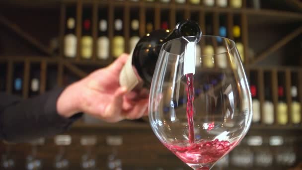 葡萄酒生产 红酒被漂亮地倒进杯子里 慢动作 — 图库视频影像