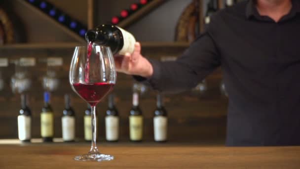 Vinproduktion Rött Vin Vackert Hälls Ett Glas Slow Motion — Stockvideo