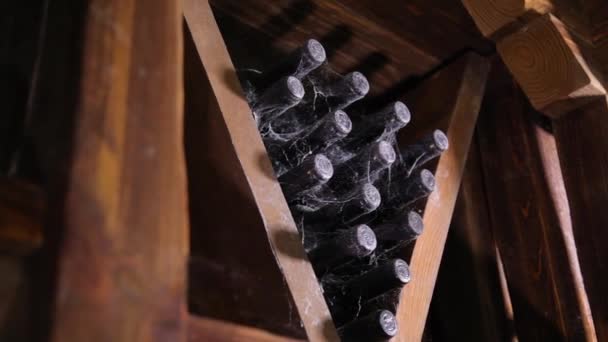 葡萄酒生产 在酒窖里品酒 — 图库视频影像