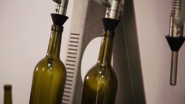 Vinframställning Vinproduktion Pressa Saften Från Druvor — Stockvideo