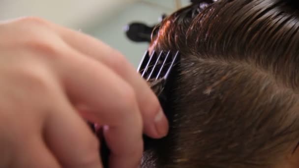 Cabeleireira Feminina Faz Corte Cabelo Corte Cabelo Numa Barbearia Feminina — Vídeo de Stock