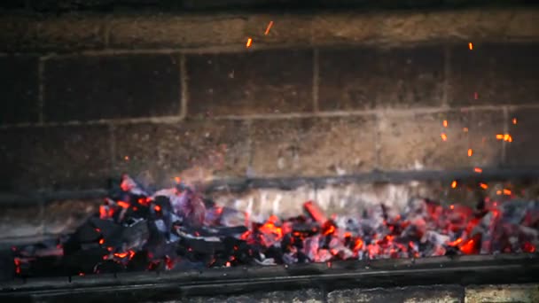 Het Koken Van Vlees Kolen Kebab Brochettes Gekookt Kolen Rook — Stockvideo