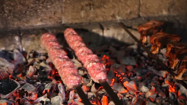 石炭の肉を調理します 串焼きのケバブは 煙の中で石炭で調理 火で焼き肉 牛肉料理の焼き肉 — ストック動画