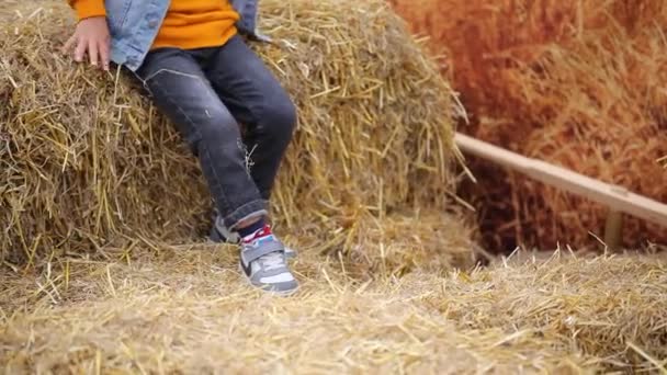 Vinnitsa Ucrania Oktober 2019 Niño Jugando Paja Niño Sienta Sobre — Vídeo de stock