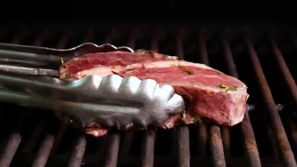 Preparación Filete Rejilla Carbones Chef Haciendo Bistec Carne Tierna Filete — Vídeo de stock