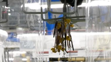 Manufacture of electrical harnesses for Mercedes cars E-class, A-class, S-class. Production of electrical cables in the car industry. 