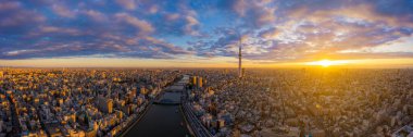 Tokyo Şehri 'nin insansız hava aracı tarafından yapılan hava manzaralı Tokyo City, Japonya' da gün doğumunda görülebilen Tokyo Gökyüzü Ağacı. Tokyo 'nun panoramik şafak manzarası. Sumida nehri ile ünlü Tokyo Skytree ve Senso-Ji Tapınağı. Japonya, Asya 'nın renkli sabah manzarası.