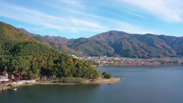 Flygfoto Video Drönare Vackra Japan Höst Vid Sjön Kawaguchiko Med — Stockvideo