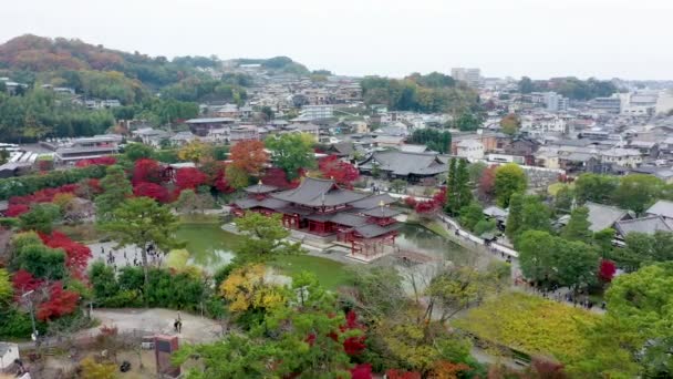 Aerial View Drone Byodoin Temple Byodo Autumn Leaves Uji City — Αρχείο Βίντεο