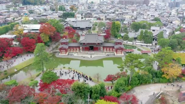 Pandangan Udara Oleh Drone Dari Kuil Byodoin Byodo Dengan Daun — Stok Video