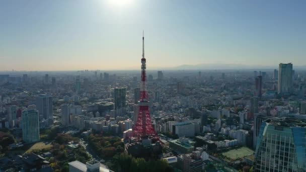 Letecký Pohled Drone Tokyo Tower City Tokyo Japan — Stock video