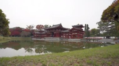 Byodoin Tapınağı 'nın (Byodo-in) sonbahar yapraklı 4k görüntüleri, Uji Şehri, Kyoto, Japonya.