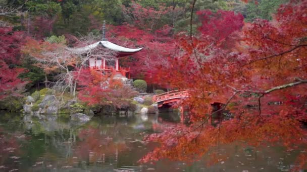 Templo Daigo Con Arces Colores Otoño Kioto Japón Bentendo Templo — Vídeos de Stock