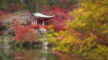 Sonbaharda renkli akçaağaç ağaçları olan Daigo-ji tapınağı, Kyoto, Japonya. bentendo Temple kyoto japan.