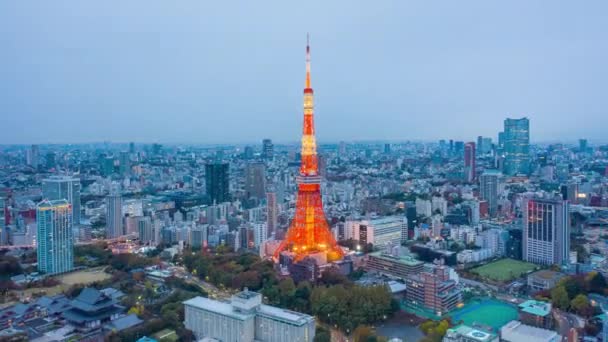 Letecký Pohled Hyper Lapse Video Tokijské Věže Budovy Tokiu Japonsko — Stock video