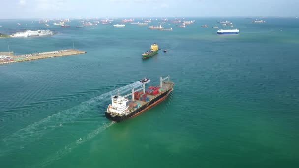 Drohne Luftaufnahme Aufnahmen Von Internationalen Containern Frachtschiff Frachtverkehr Schifffahrt Handelshafen — Stockvideo