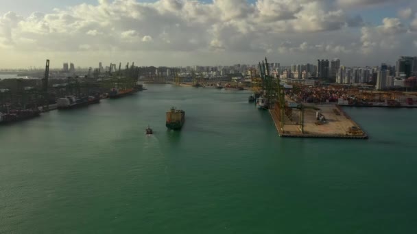 Letecký Pohled Drone Záběry Přepravních Kontejnerů Singapurském Přístavu Přepravní Kontejnerový — Stock video