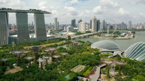 Drönare Flygfoto Bilder Trädgårdar Vid Bukten Flyger Mot Skyline Singapore — Stockvideo