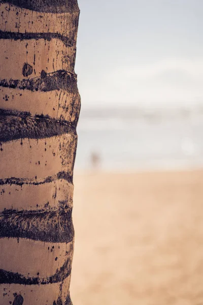 Schöner Sandstrand Mit Sonnenlicht Blick Auf Strand Und Palmen Urlaub — Stockfoto