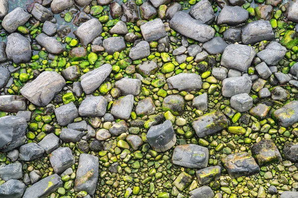 Piedras Verdes Agua Cerca Kilt Rock Escocia Reino Unido — Foto de Stock