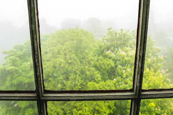 Vista Desde Vieja Ventana Árboles Niebla Visible Fuera Escena Sombría — Foto de Stock