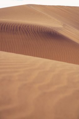 Görkemli kum tepeleri üzerinde kum oluşumları.