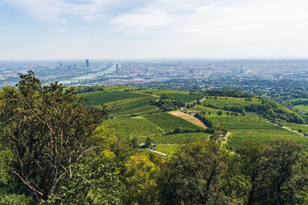 Yaz sonunda Viyana Hava Görünümü / Sonbahar / Sonbahar başında. Vin — Stok fotoğraf