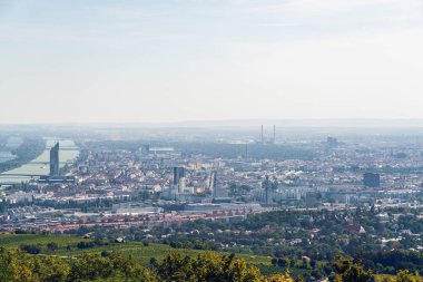 Yaz sonunda Viyana Hava Görünümü / Sonbahar / Sonbahar başında. Vin