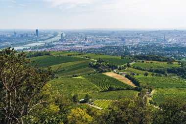 Yaz sonunda Viyana Hava Görünümü / Sonbahar / Sonbahar başında. Vin