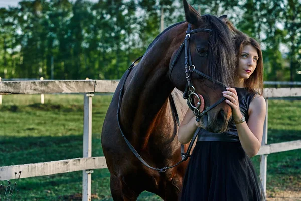 Young slim woman brunette in a black dress on a walk with a dark brown horse. Sunny summer evening. Close-up.