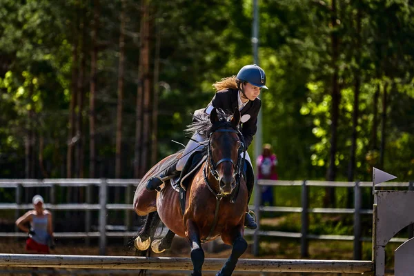 A young woman jockey on a horse performs a jump across the barrier. Competitions in equestrian sport. Close-up.