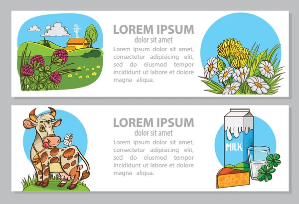 Kolorowe Karty Krowa Farm Pakiet Mleka Kawałek Sera — Wektor stockowy