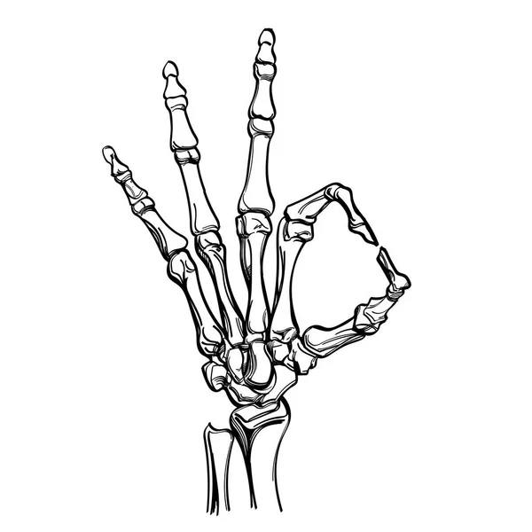 Διάνυσμα Σκελετός Χειρονομία Δείχνει Εντάξει — Διανυσματικό Αρχείο