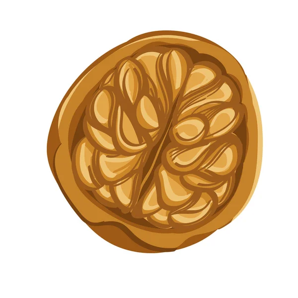 Волоський Горіх Логотипі Оболонки Стилі Ручного Малювання — стоковий вектор