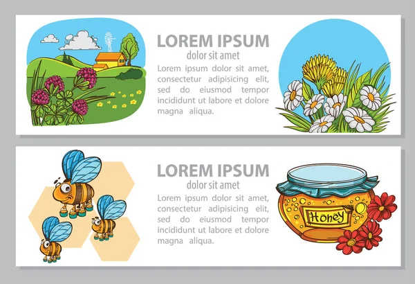 Kolorowe Karty Pszczół Farm Słoik Miodu — Wektor stockowy
