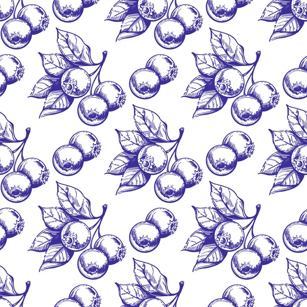 Monohrome 在白色背景下分离的矢量蓝莓 — 图库矢量图片
