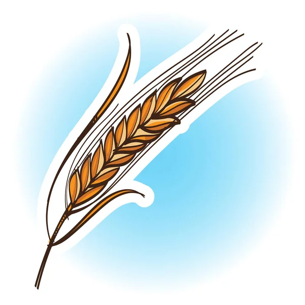 Bäckerei Logo Mit Weizen Auf Blauem Hintergrund — Stockvektor
