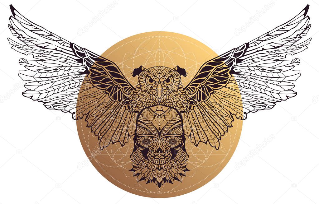 Patterned vector owl on white background