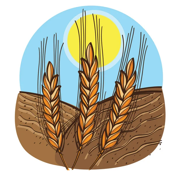 Cultivo Trigo Campo Bajo Cielo Azul — Vector de stock